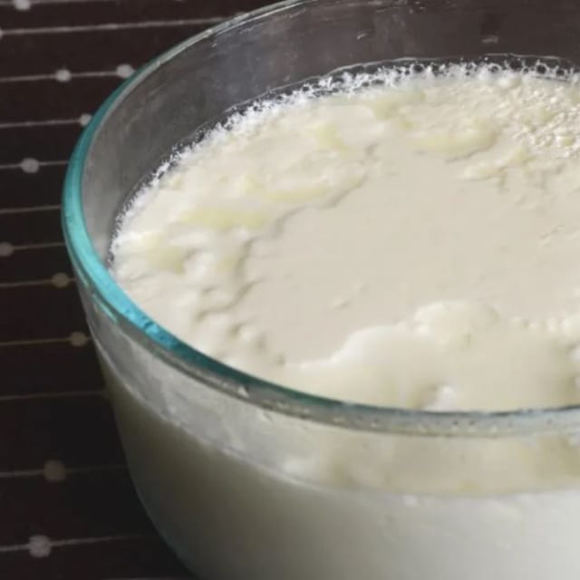 Plain Yogurt.